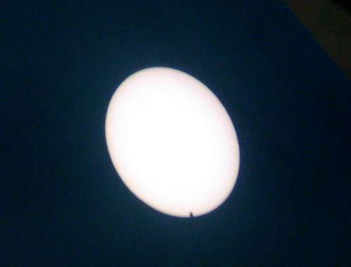 Bild